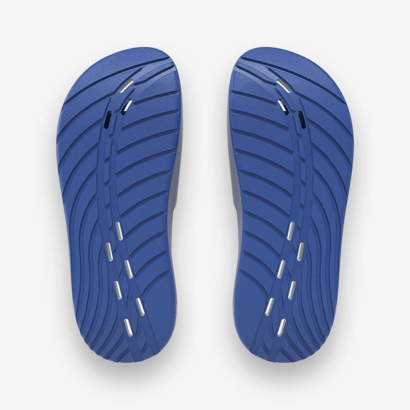 Chinelos Speedo Slide