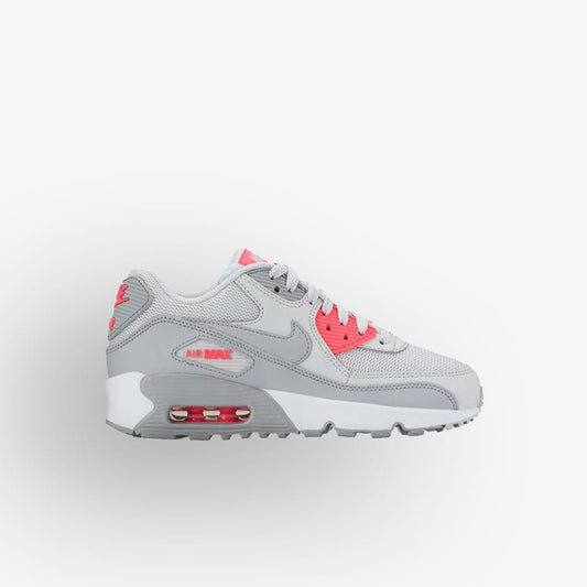 Sapatilhas Nike Air Max 90 Mesh Multicor