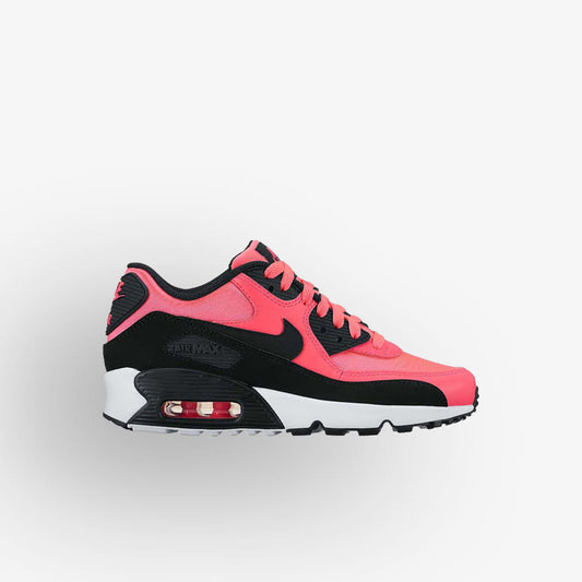 Sapatilhas Nike Air Max 90 Mesh Multicor