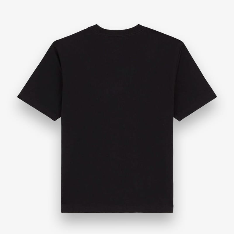T-Shirt Dickies Maple Valley Reg W